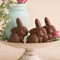 Crispy Squatting Bunny