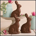 Jack Rabbit