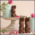Shy Bunny