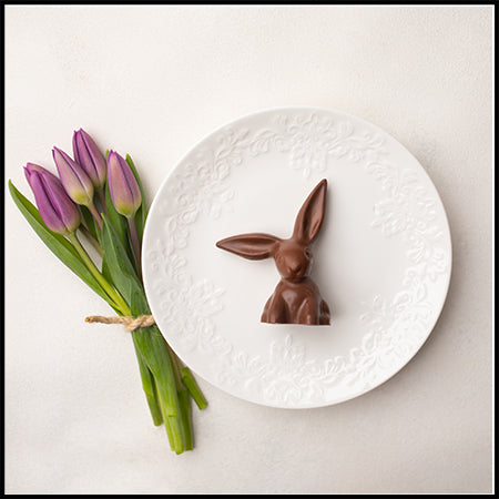 Floppy Eared Bunny