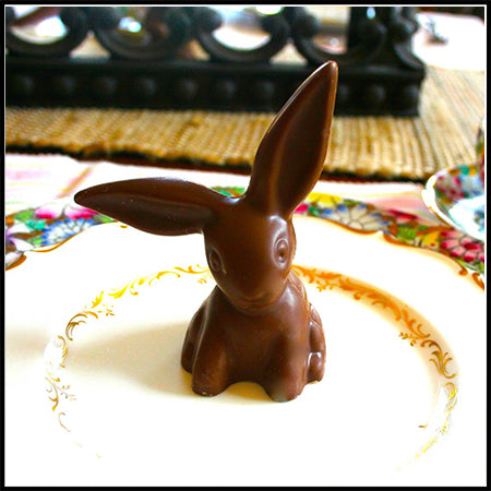 Floppy Eared Bunny