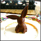 Floppy Eared Bunny