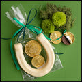 Lucky Horseshoe & Gold Coins