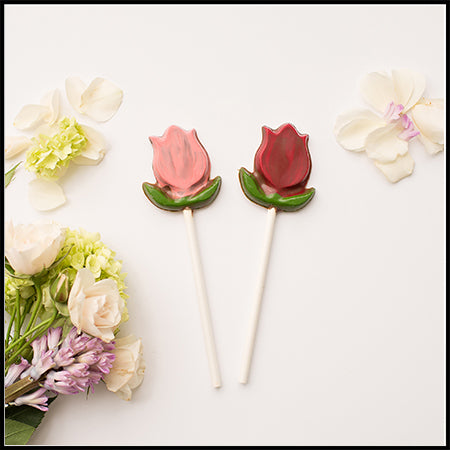 Tulip Sucker Pop